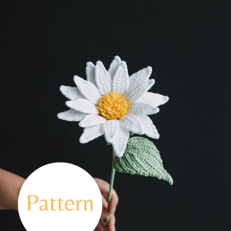 Field Daisy #26